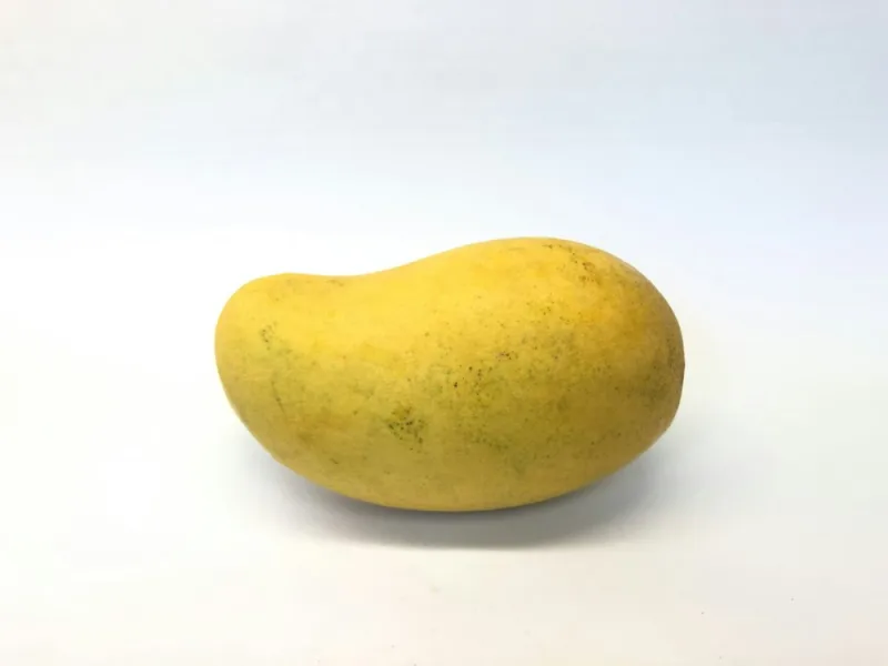 مانجو ألفونسو